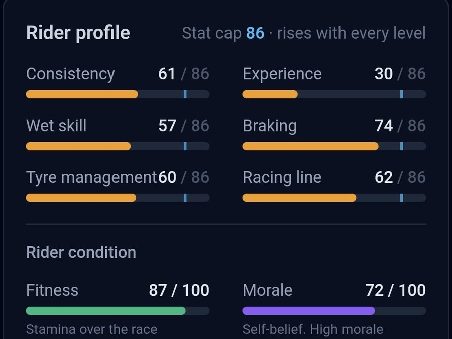 Rider profile with consistency, experience, wet skill, braking, tyre management and racing line, plus fitness and morale