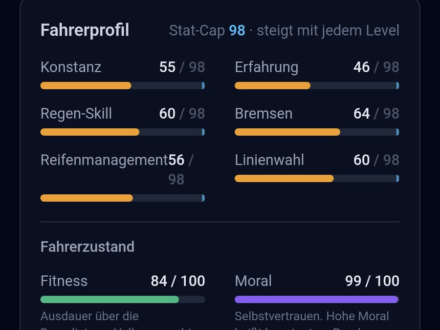 Fahrerprofil mit Konstanz, Erfahrung, Bremsen und Linienwahl sowie Fitness und Moral